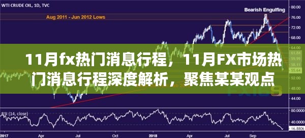 聚焦某某观点,深度解析11月FX市场热门消息行程