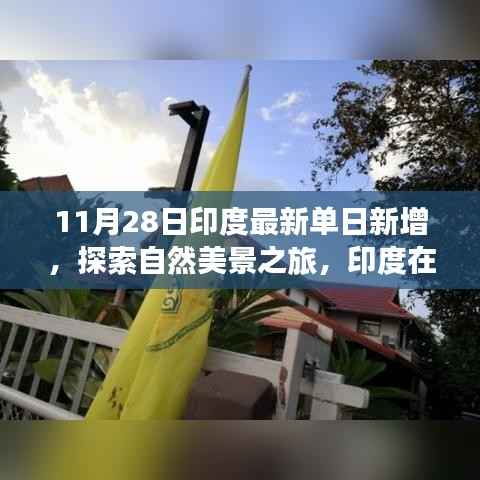 印度最新单日新增背景下,秋日自然美景的心灵之旅探索静谧生机