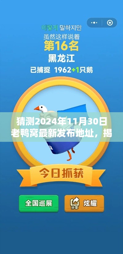 揭秘老鸭窝最新发布地址预测指南,如何预测并访问2024年11月30日的更新内容?
