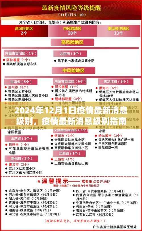 2024年疫情最新消息指南,如何获取并分析12月1日疫情信息,适用于初学者与进阶用户