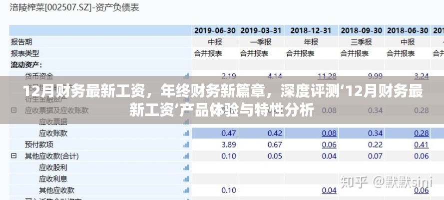 年终财务新篇章,深度评测最新工资产品体验与特性分析