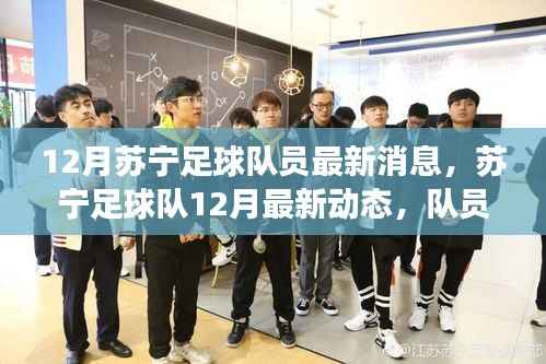 苏宁足球队12月最新动态，备战、转会与训练进展揭秘