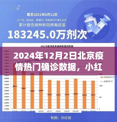 北京疫情热点解读,深度分析2024年12月2日确诊数据,小红书分享聚焦疫情动态