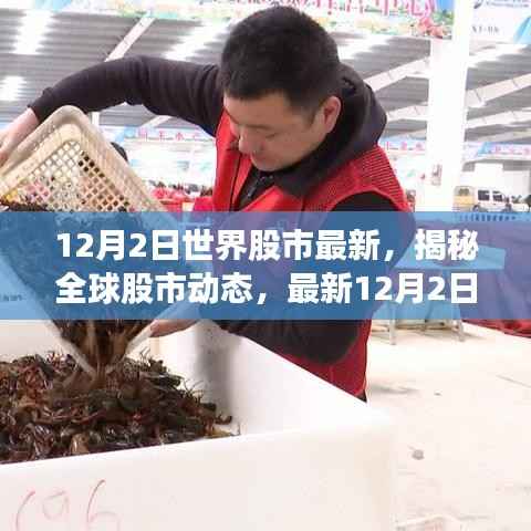 揭秘全球股市动态,深度解析最新世界股市行情(12月2日)