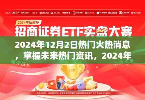 2024年12月2日热门资讯解析与获取指南，初学者的起步与进阶用户的进阶之路