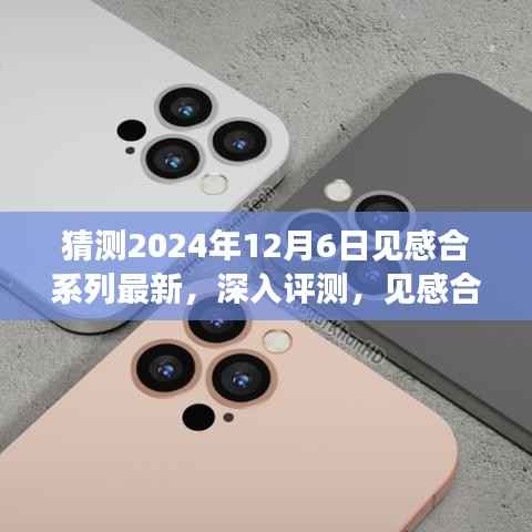 2024年12月6日见感合系列新品深度评测与展望