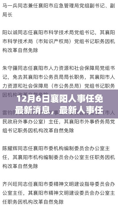 襄阳人事任免动态更新,最新人事调整概览(12月6日)