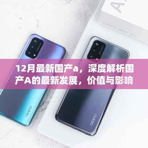 深度解析国产A的最新发展，价值及影响——十二月最新国产a概览