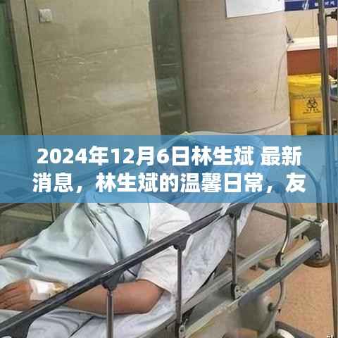 林生斌最新消息,友谊之光在冬日暖阳中闪耀的温馨日常(2024年)