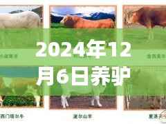 2024年养驴新风尚观察,最新视频揭示驴产业观点