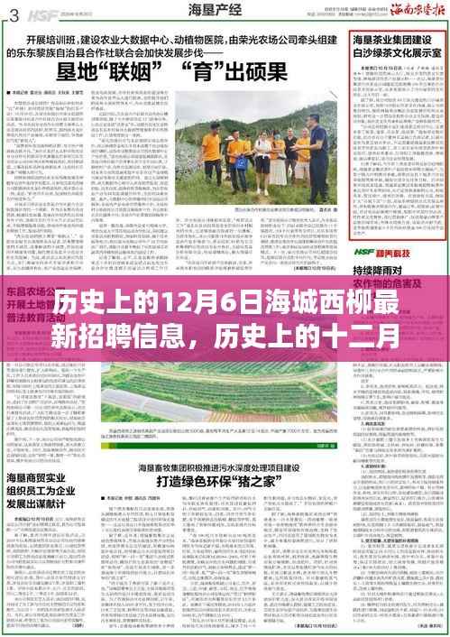 历史上的12月6日海城西柳招聘内幕揭秘，最新职位信息一网打尽