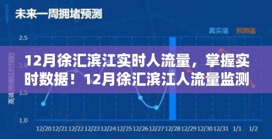 12月徐汇滨江人流量实时数据与监测全攻略