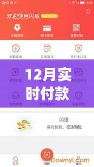 掌握正确姿势,12月实时查询余额的付款与余额查询指南