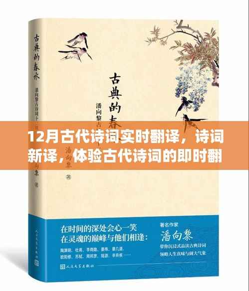 体验即时翻译之旅,古代诗词新译与实时解读的十二月之旅