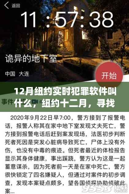 纽约十二月,犯罪软件探索之旅与自然的邂逅心灵平静之旅