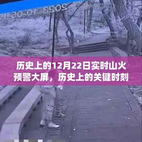 实时山火预警大屏的诞生与发展,历史上的关键时刻回顾