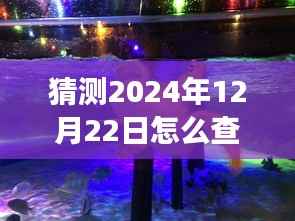 未来塑料实时报价探索之旅，心灵宁静与自然美景的双重追寻