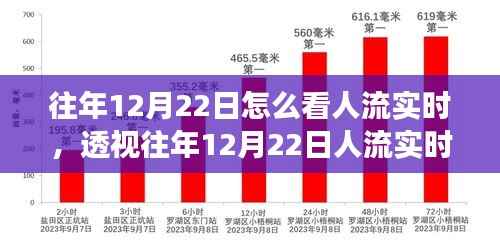 多维度视角分析,透视往年12月22日人流实时数据与流动趋势观察报告