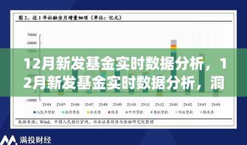 12月新发基金实时数据分析,市场趋势与投资机会洞察