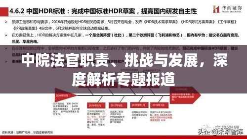中院法官职责、挑战与发展，深度解析专题报道