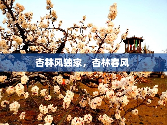杏林风独家,杏林春风