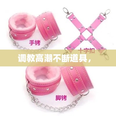 调教高潮不断道具,