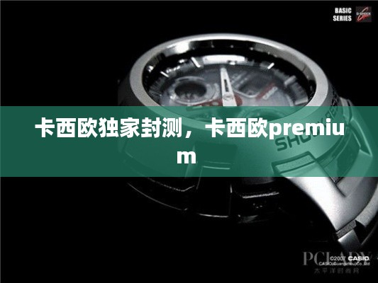 卡西欧独家封测，卡西欧premium 