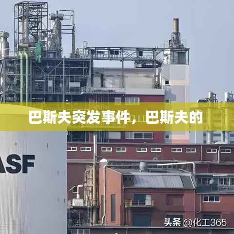 juanniaosigui 第11页