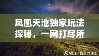 凤凰天池独家玩法探秘,一网打尽所有精彩体验