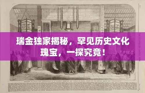瑞金独家揭秘,罕见历史文化瑰宝,一探究竟!