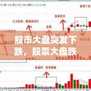 feijianruhuang 第5页