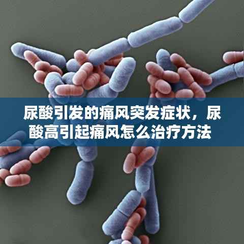 尿酸引发的痛风突发症状,尿酸高引起痛风怎么治疗方法