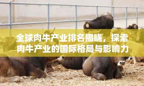 全球肉牛产业排名揭晓,探索肉牛产业的国际格局与影响力视频