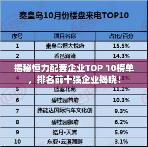 揭秘恒力配套企业TOP 10榜单,排名前十强企业揭晓!