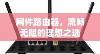 网件路由器,流畅无阻的理想之选