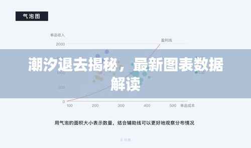潮汐退去揭秘，最新图表数据解读