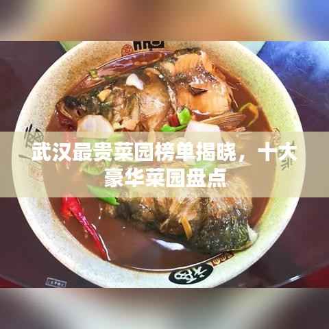 武汉最贵菜园榜单揭晓,十大豪华菜园盘点