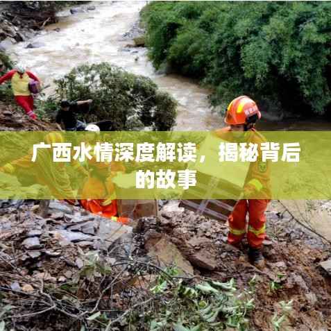 广西水情深度解读,揭秘背后的故事
