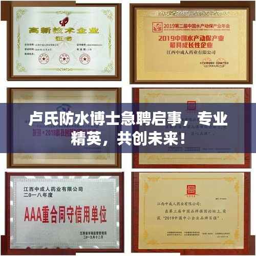 卢氏防水博士急聘启事,专业精英,共创未来!