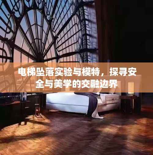 电梯坠落实验与模特,探寻安全与美学的交融边界