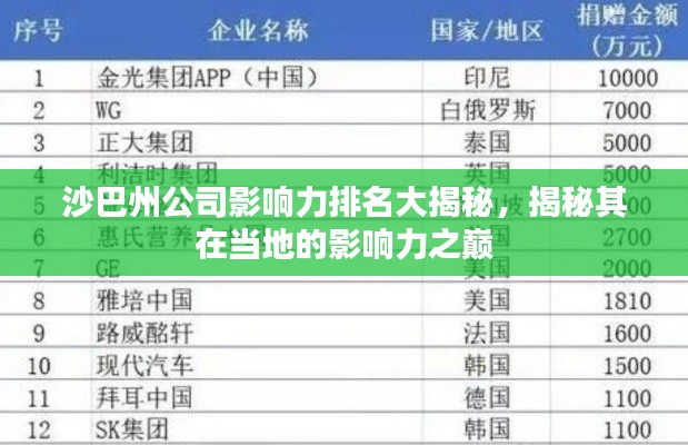 沙巴州公司影响力排名大揭秘,揭秘其在当地的影响力之巅