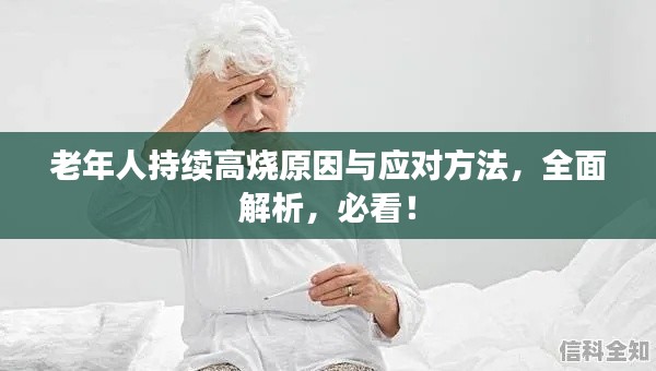 老年人持续高烧原因与应对方法，全面解析，必看！