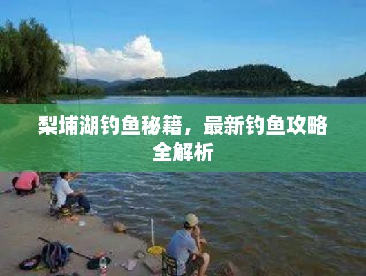梨埔湖钓鱼秘籍,最新钓鱼攻略全解析