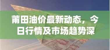 莆田油价最新动态,今日行情及市场趋势深度解析
