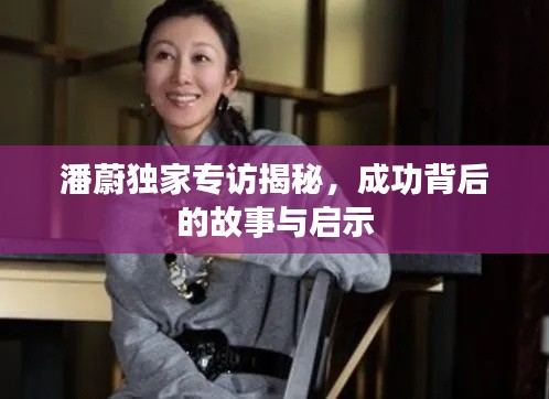 潘蔚独家专访揭秘,成功背后的故事与启示