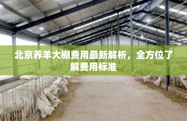北京养羊大棚费用最新解析,全方位了解费用标准
