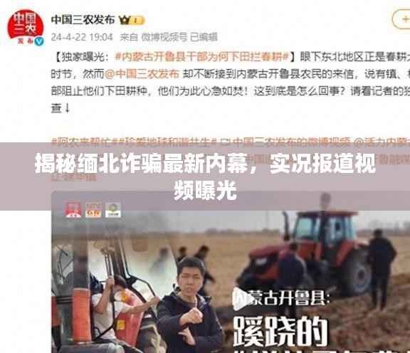 揭秘缅北诈骗最新内幕，实况报道视频曝光