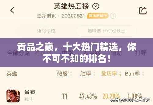 贡品之巅,十大热门精选,你不可不知的排名!