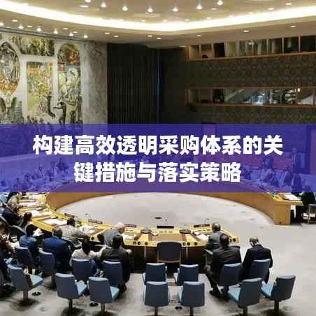 构建高效透明采购体系的关键措施与落实策略