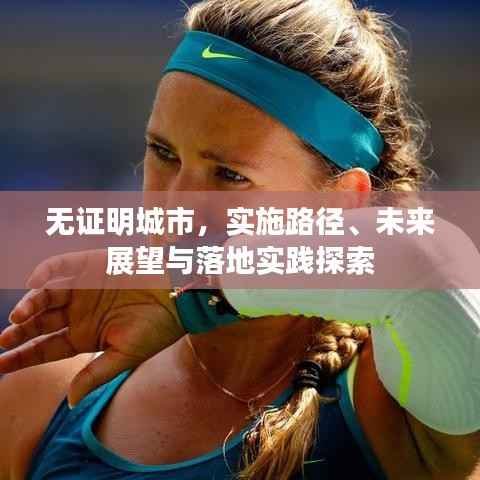 无证明城市，实施路径、未来展望与落地实践探索